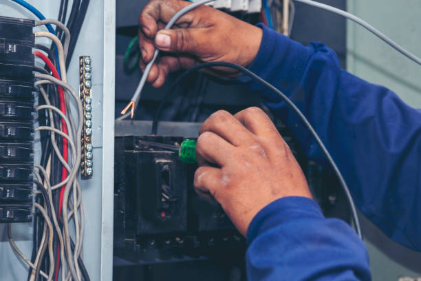 Best Electrician for Home Renovation  in Clio, MI