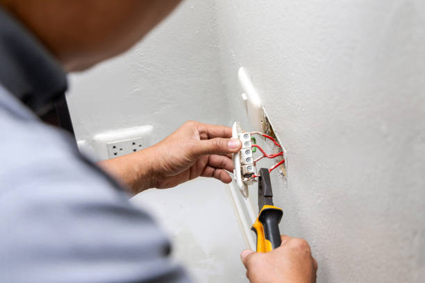Best Electrical Rewiring Services  in Clio, MI