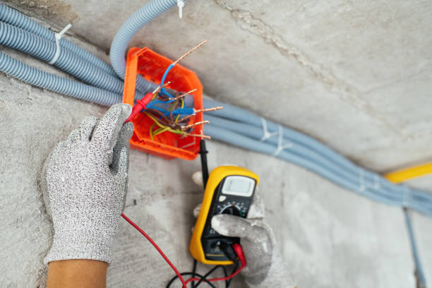Best Electric Panel Repair  in Clio, MI